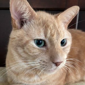 Meet your Posher, EJ